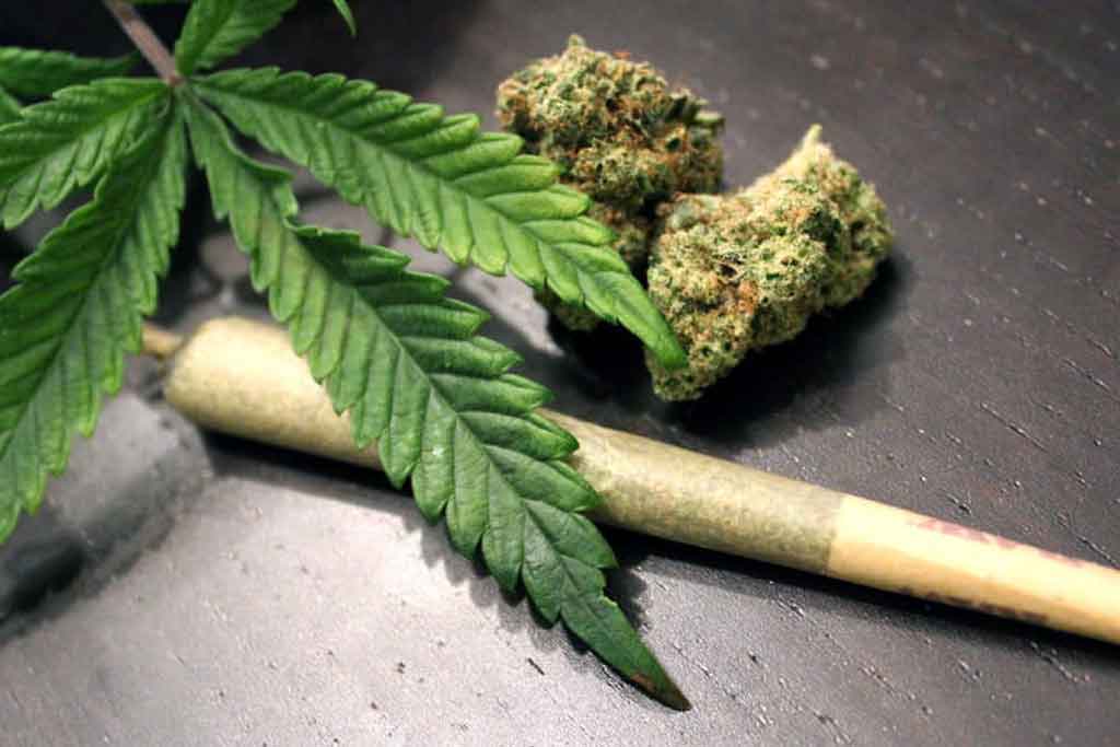 Understanding the Cognitive Risks of Prolonged Cannabis Consumption